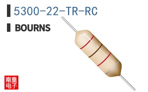 5300-22-TR-RC